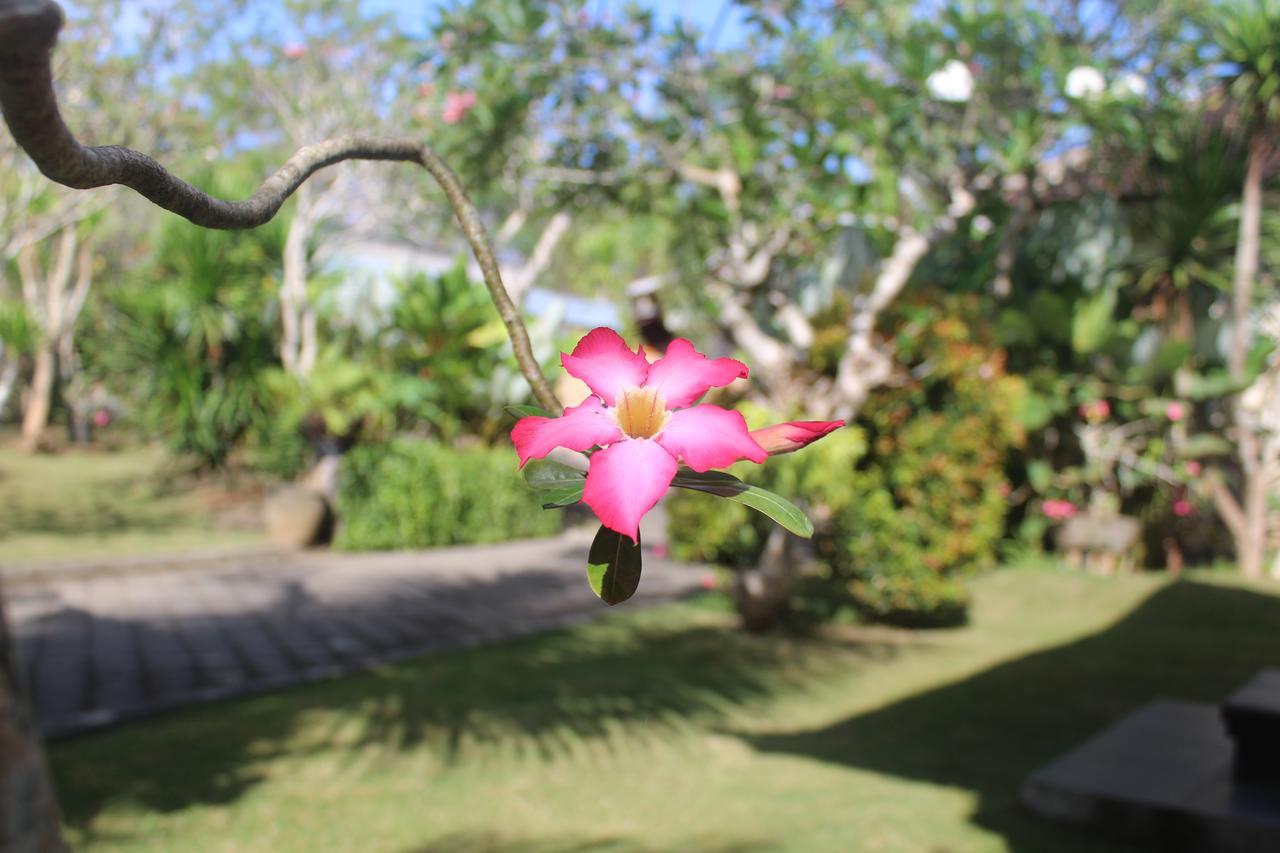 El Homestay Bali Nusa Dua  Buitenkant foto