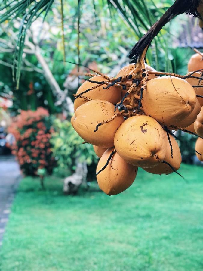 El Homestay Bali Nusa Dua  Buitenkant foto